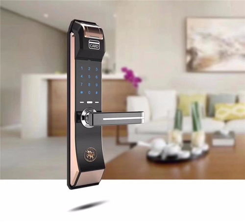 安装指纹锁一般多少钱一把,安装指纹锁师傅价格