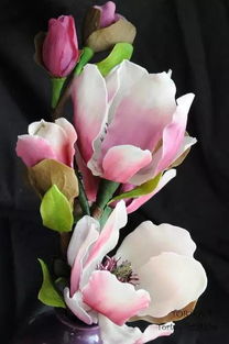 最美的花是什么花 10种世界上最美的花