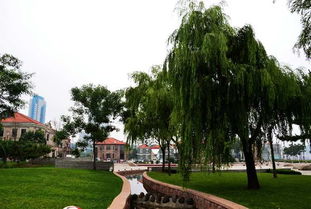 以我的生态家园写一篇作文范文