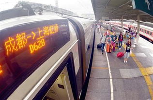 动车是什么意思