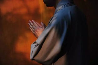 看破红尘是什么意思打一生肖,我已看破红尘是什么意思