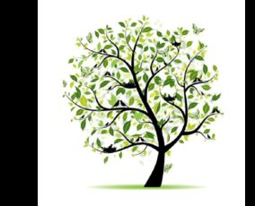 爱心捐赠平台上10元种下希望树项目中的希望树指什么树