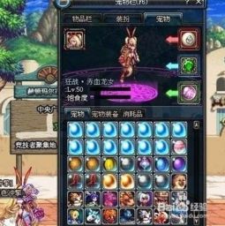 DNF宠物怎么获得,dnf宠物怎么获得2020