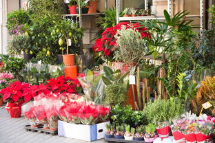 开个花店需要多少钱,开花店一般要投资多少钱?