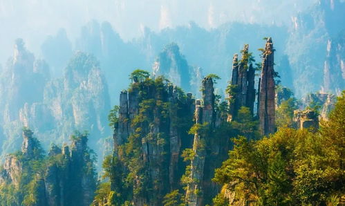 张家界新闻网,张家界新闻网 杨百万