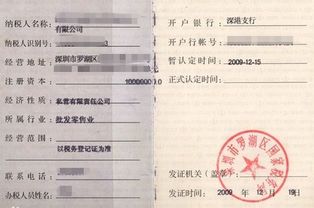 什么是一般纳税人？如何确认一般纳税人？