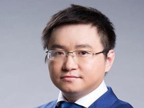 与狼共舞中陈少杰的来历