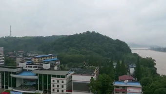 邵武在线的介绍