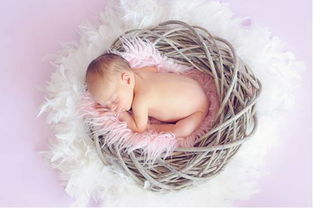 过期产儿是指胎龄大于多少周