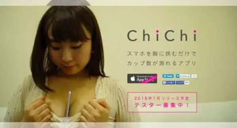 日语翻译 就一句话 chichi punipuni