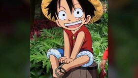 海贼王路飞的介绍