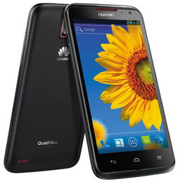 请问各位大神，华为畅享九的有d1这个型号吗？