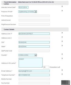 网上可以办理签证吗