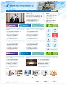 中国专利查询网站,中国专利局官方网查询