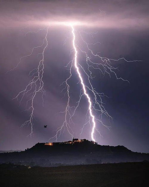 请教“震撼”和“震憾”的区别？