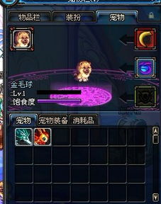 DNF金毛球和黑炭头那个好