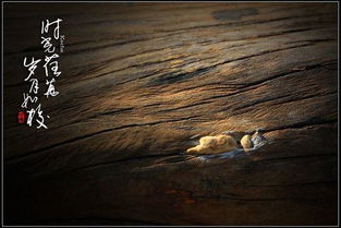 时光荏苒的意思是什么？