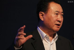 万达老总王健林简历的儿子