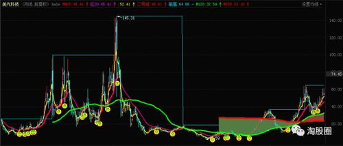 芯片龙头股排名前十