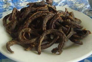 都有什么野味？