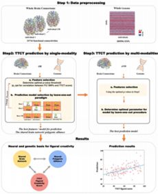 创造性思维的特点包括,创造性思维的特点是哪两个