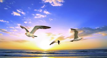 海阔天空的意思