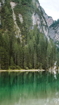 好看的风景视频素材