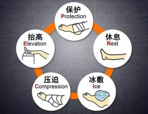 price原则主要包括什么
