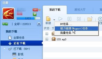 迅雷磁力是什么？
