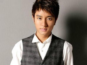 贾乃亮个人资料血型