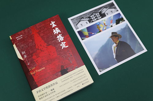 尘埃落定什么意思