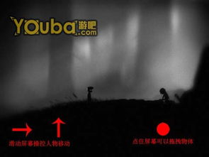 limbo攻略图全部,limbo攻略第一关