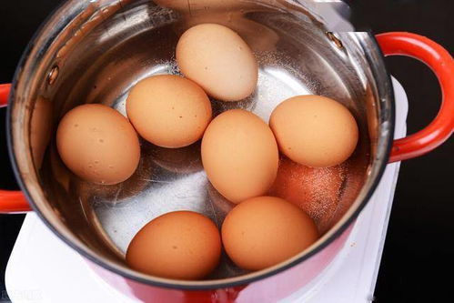 鸡蛋一般煮多久可以吃