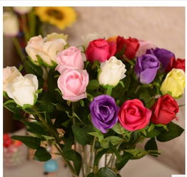 情人花是什么花，情人花时间陪我但不愿意花钱