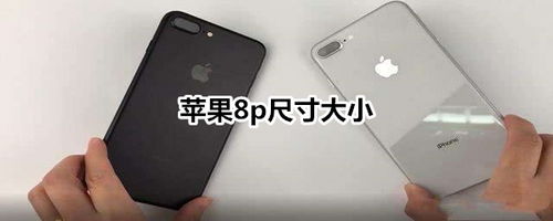 苹果8p尺寸和苹果13哪个大,苹果8p尺寸多少厘米