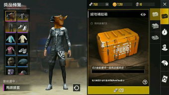 刺激战场国际服怎么下载到电脑上？