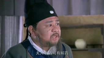 元芳你怎么看是什么意思？