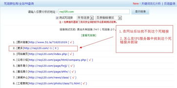 什么是死链接？