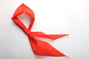 红领巾代表什么意义和象征