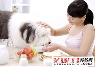 梦见喂狗是什么意思周公解梦