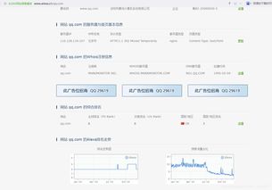 怎么查看网站流量