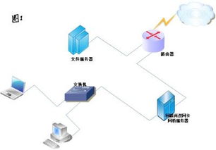 网路岗的特色是什么?