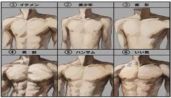 体脂比例计算公式是什么?