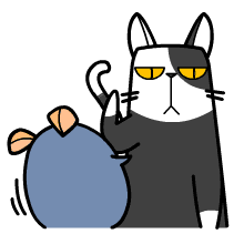 动图格式除了gif还有什么