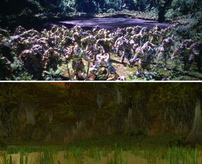 魔兽世界黑色沼泽怎么去