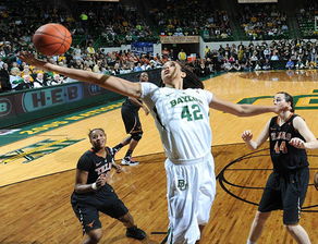 抽脂三十斤要多少钱