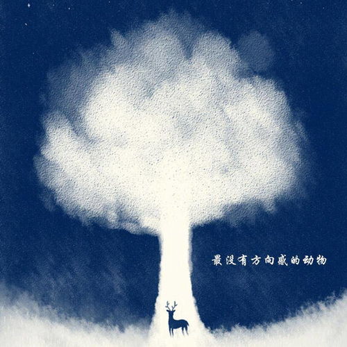 什么样的动物最没有方向感？脑筋急转弯！！