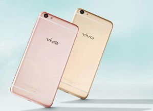 vivo手机质量怎么样