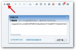 谁知道前面有thunder://这些字母的地址怎么下载?