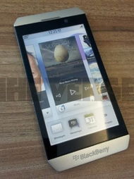 黑莓Surfboard的介绍